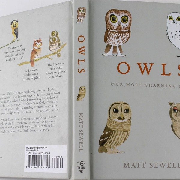 Owls Our Most Charming Bird by Matt Sewell 2014 Hardcover
