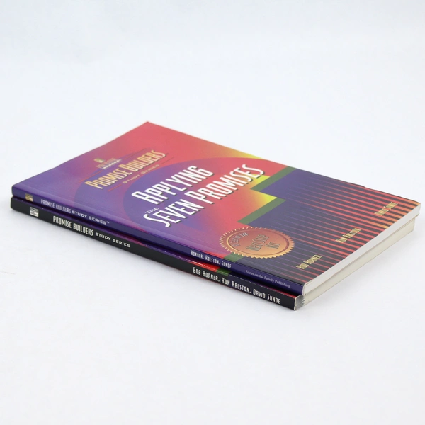 Lot of 2 Promise Builders Study Series Books Promise Keepers