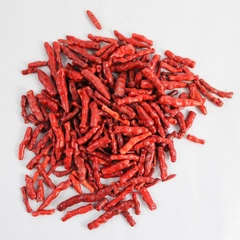Lot of Loose Red Branch Coral Beads for DIY Jewelry Making Art and Crafting