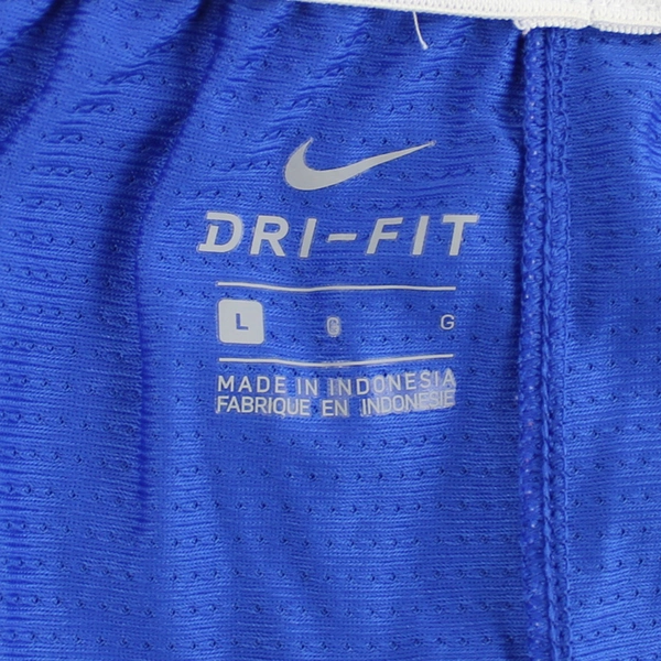 Nike Dri-Fit Blue and White Athletic Shorts Women's Large