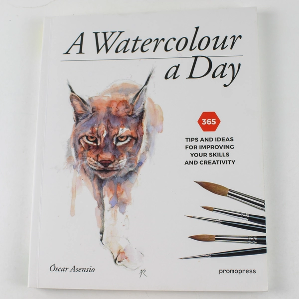 Watercolour a Day 365 Tips and Ideas Óscar Asensio 2019 Paperback