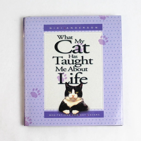 What My Cat Has Taught Me About Life by Niki Anderson 1997 Hardcover Dust Jacket