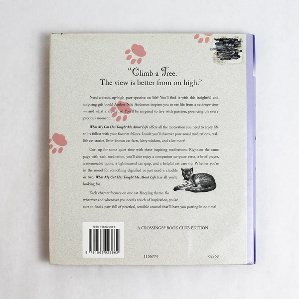 What My Cat Has Taught Me About Life by Niki Anderson 1997 Hardcover Dust Jacket
