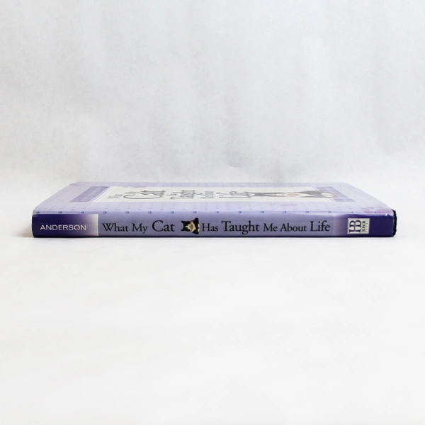 What My Cat Has Taught Me About Life by Niki Anderson 1997 Hardcover Dust Jacket