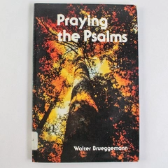 Praying the Psalms by Walter Brueggemann 1993 Ex-Library PB Book
