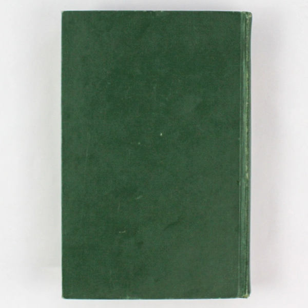Virgil's Aeneid A Critical Description Kenneth Quinn 1968 Vintage Hardcover