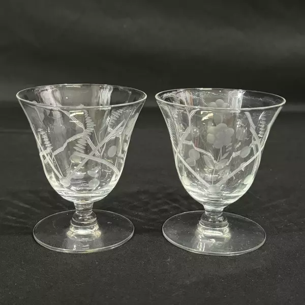 Lot of 2 Etched Crystal Cocktail Glasses Floral Grass & Dot Pattern