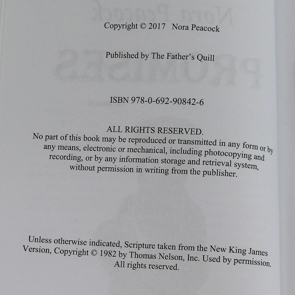 Promises A Novel Nora Peacock 2017 Published The Father's Quill Paperback Book
