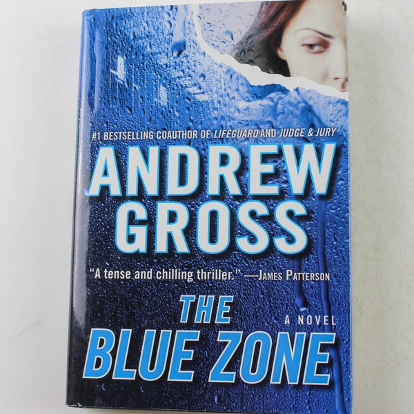 The Blue Zone by Andrew Gross 2007 Hardcover Thriller in Good Condition