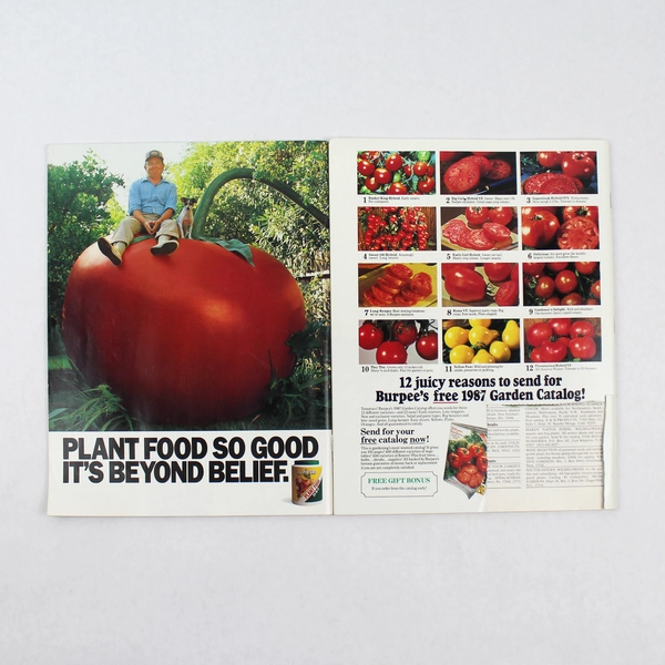 Lot of 2 Vintage Horticulture American Gardening Magazine Feb & June 1987 Issues