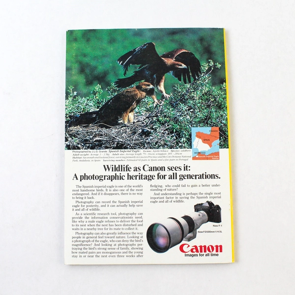 Vintage National Geographic Magazine February 1982 Edition Vol. 161 No. 2