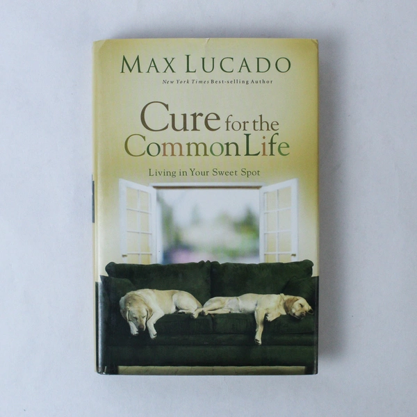 Cure for the Common Life by Max Lucado 2005 Hardcover Book with DJ