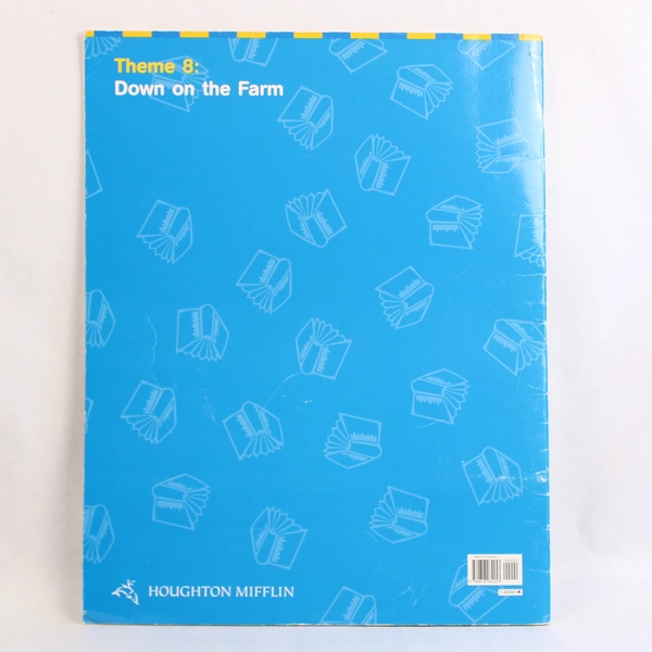 Houghton Mifflin Reading Big Book Mouse's Birthday by Yolen & Degen 2005