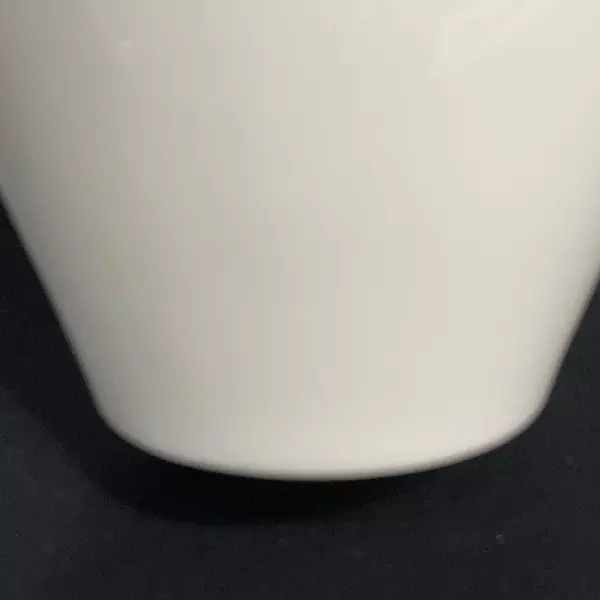Royal Doulton Bone China Vase Cream Gold Scalloped Rim Planter Pot Crafts Decor