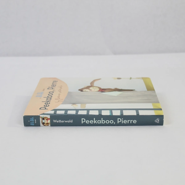 Children's Hardback Peekaboo Pierre by Florence Wetterwald Blabla Book 2016