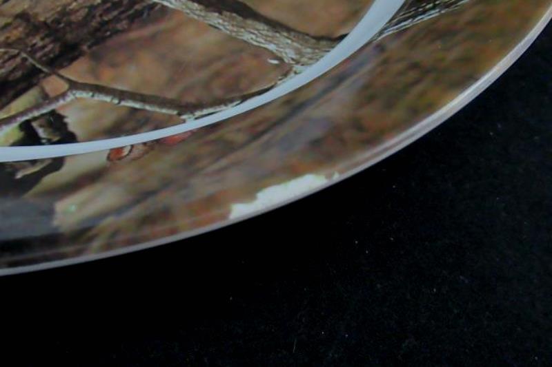 Mossy Oak Hunting Camouflage Infinity 20 inch Turkey Platter Oval Plate Serve