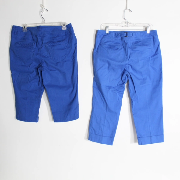 Lot of 2 Women's Cropped Capri Pants Size 10 Sharagano & One 5 One Blue