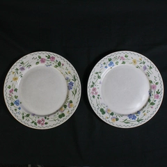 Lot of 2 Vintage Farberware Stoneware Dinner Plates English Garden 225 Kitchen