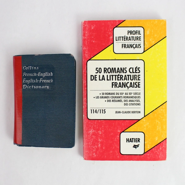 Lot of 2 English-French Books, Collins Dictionary & Profil Litterature Francais
