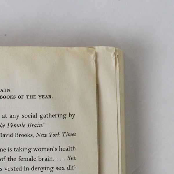 The Female Brain Louaan Brizendine M. D. National Bestseller Book Paperback