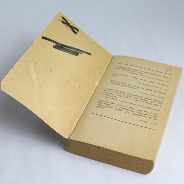 Vintage Portrait of an Artist Biography of Georgia O'Keeffe by Laurie Lisle 1980