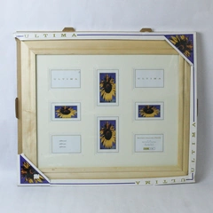 Ultima 16 x 20 Matted Collage Frame Holds Six 3.5 x 5 Two 4 x 6 Home Decor