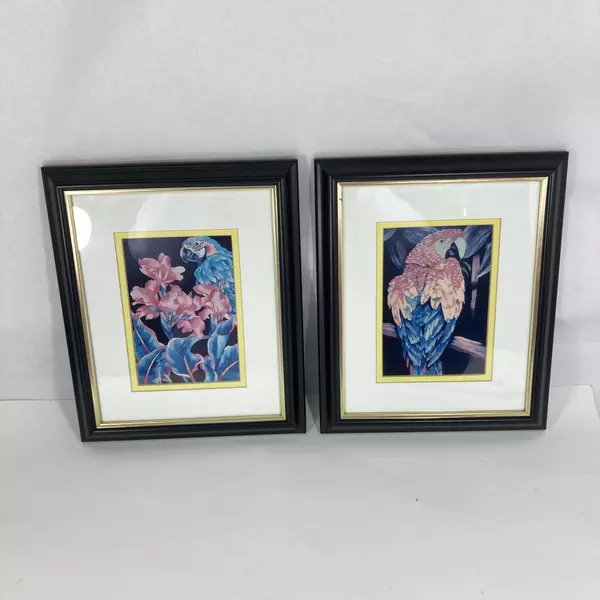 Set of 2 Framed And Matted Macaw Parrot Prints 9.75 x12 Inch Signed J wise