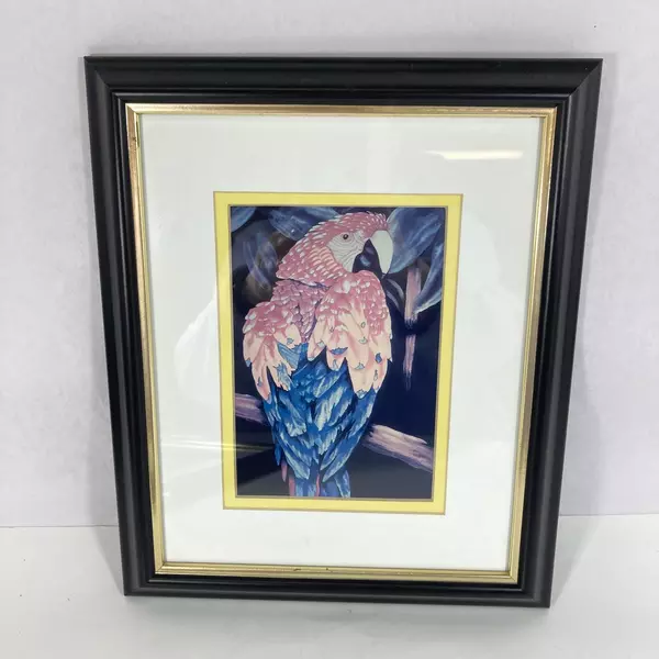 Set of 2 Framed And Matted Macaw Parrot Prints 9.75 x12 Inch Signed J wise