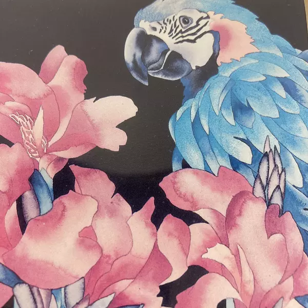 Set of 2 Framed And Matted Macaw Parrot Prints 9.75 x12 Inch Signed J wise