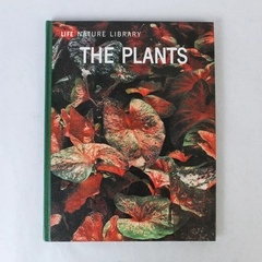 Vintage LIFE Nature Library Series The Plants Frits W. Went 1963 Hardcover