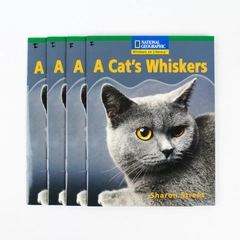 Lot Of 4 A Cat's Whiskers by Sharon Street National Geographic 2001 Paperback