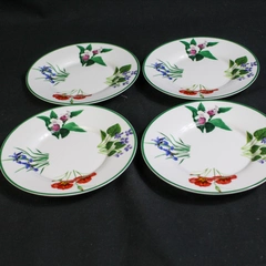 Lot of 4 National Wildlife Federation Butter Plates White & Colorful Design