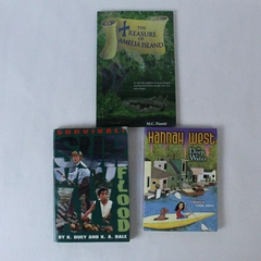 Lot of 3 Novels Hannah West In Deep Water Survival The Treasure Of Amelia Island