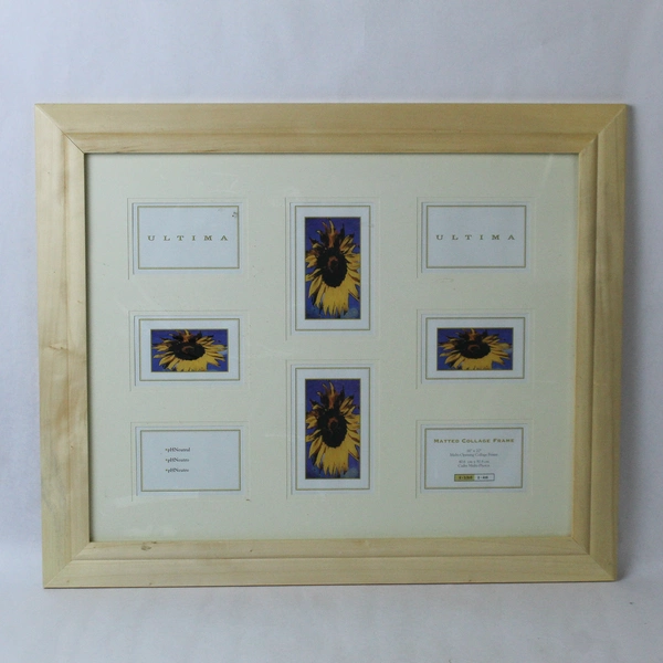 Ultima 16 x 20 Matted Collage Frame Holds Six 3.5 x 5 Two 4 x 6 Home Decor
