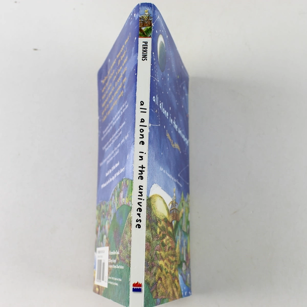 All Alone in the Universe by Lynne Rae Perkins 2001 Paperback