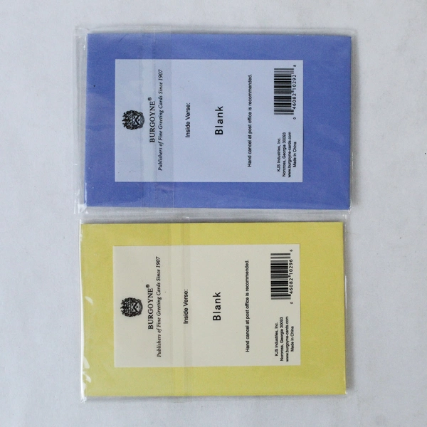 Set of 2 Burgoyne Mini Gift Greeting Card 3D Design Sealed New