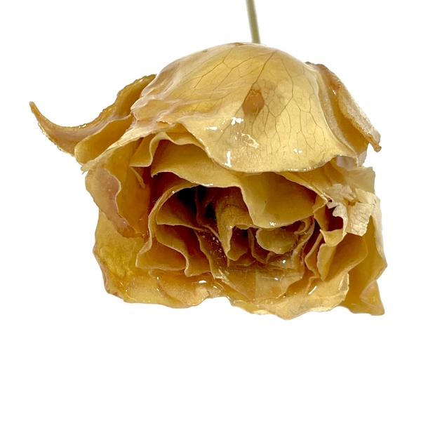 Hand Crafted Lacquered Yellow Rose Bud Hat Pin