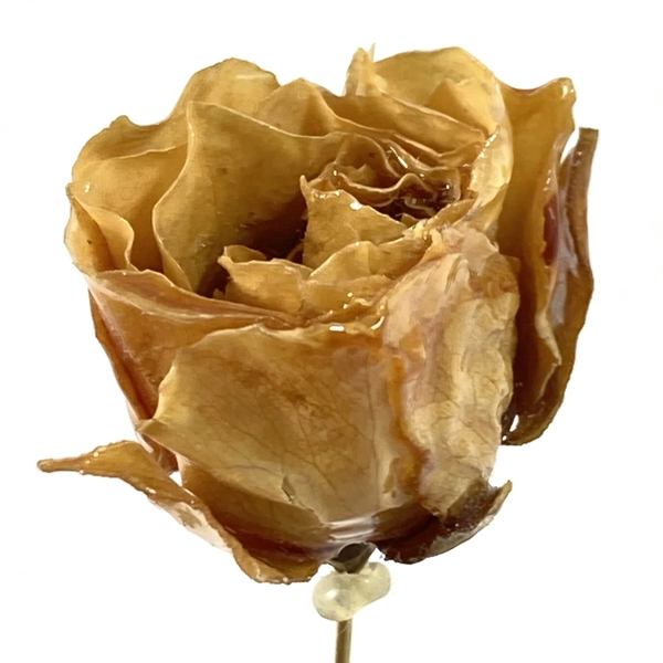 Hand Crafted Lacquered Yellow Rose Bud Hat Pin