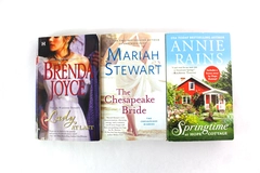 Lot of 3 Romance Novels by Annie Rains Mariah Stewart and Brenda Joyce Paperback
