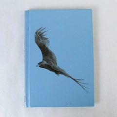 America's Spectacular Northwest National Geographic 1982 Vintage Hardcover