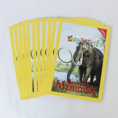 Lot of 11 Mammoth Mammals National Geographic Explorer 2007 Pathfinder Edition