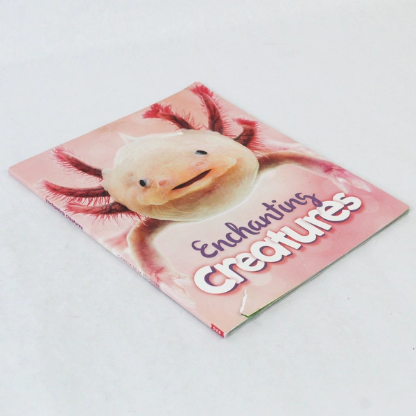 Enchanting Creatures by Camilla De La Bedoyere 2019 Paperback
