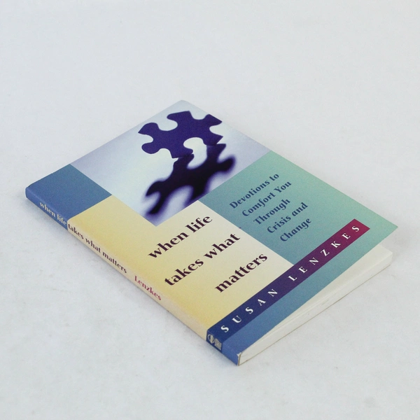 When Life Takes What Matters by Susan Lenzkes 1993 Paperback