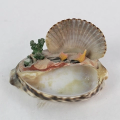 Cowrie Shell Beachy Diorama Jewelry Display Holder 3.25" Flawed