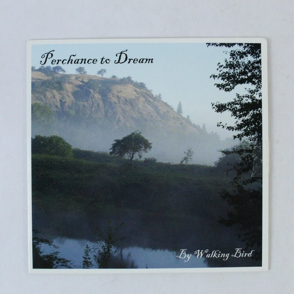 Perchance to Dream CD by Walking Bird Ambient Flute Music Good Condition