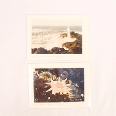 Lot of 2 Sealed Mona Lee Artist Greeting Cards with Envelopes Oregon