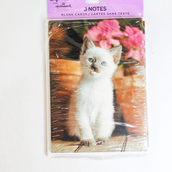 Lot of 15 Blank Note Cards With Envelopes Cat Flowers Hallmark Party Occasion