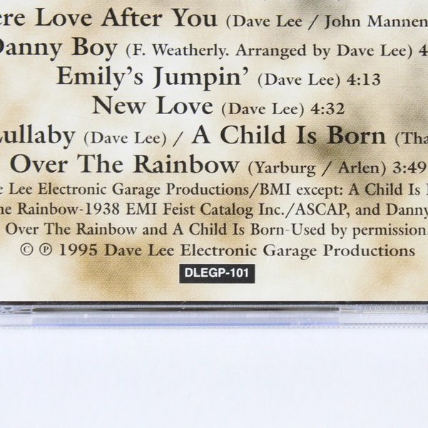 Dave Lee After The Storm CD 1995 Dave Lee Electronic Garage Productions Piano