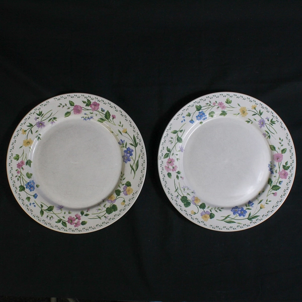 Lot of 2 Vintage Farberware Stoneware Dinner Plates English Garden 225 Kitchen