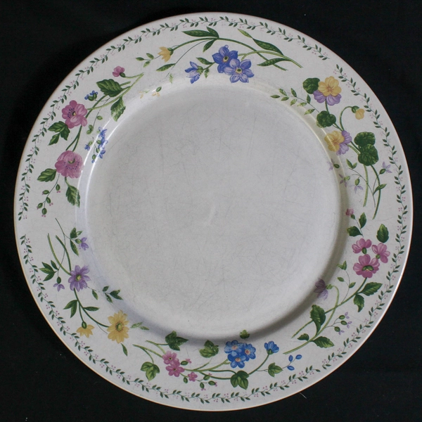 Lot of 2 Vintage Farberware Stoneware Dinner Plates English Garden 225 Kitchen